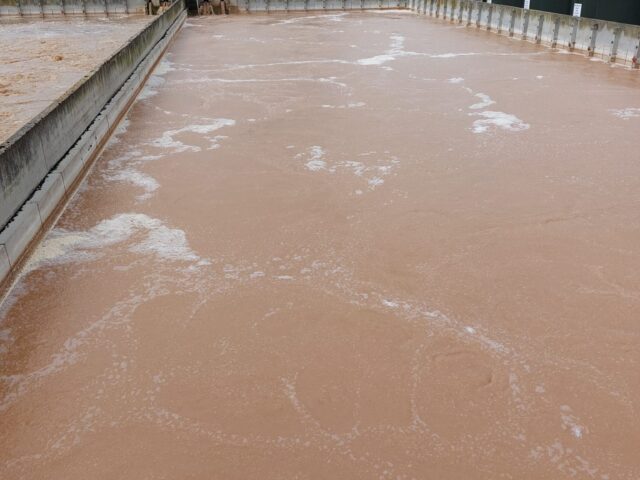 Activated Sludge – SBR (Batch)